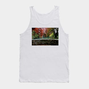 Autumn in the park Tank Top